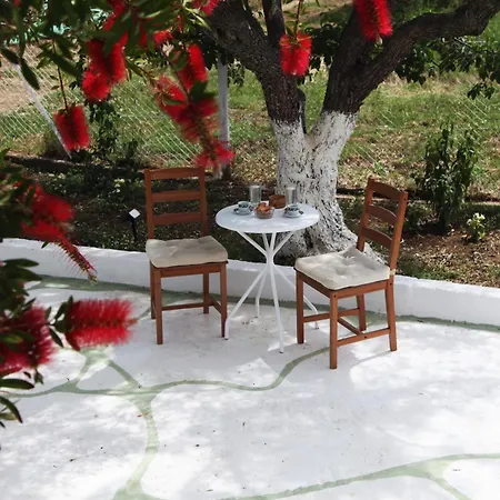 Olive Tree House