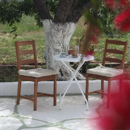 Olive Tree House Semesterbostad *