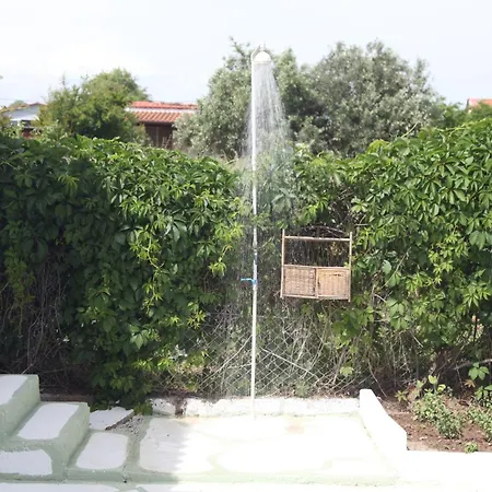 Olive Tree House